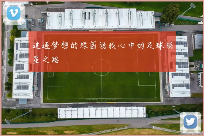 追逐梦想的绿茵场我心中的足球明星之路