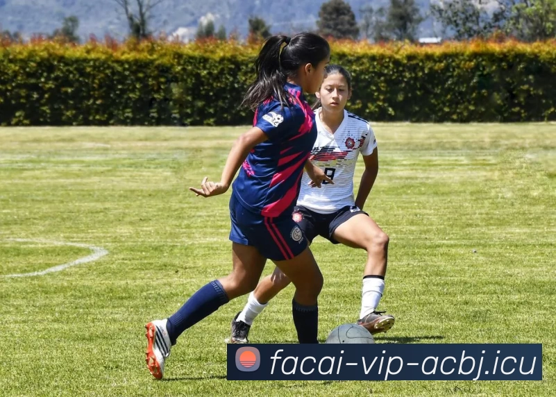 九游体育注册服务体系